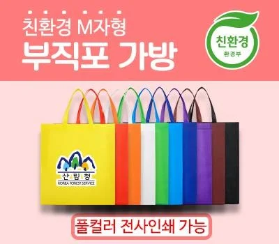 친환경M형부직포가방 대형 420x380x120