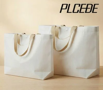 플씨드 투웨이 빅 리유저블 백